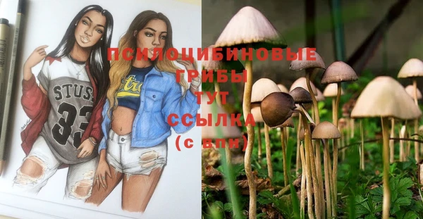MDMA Нефтекумск
