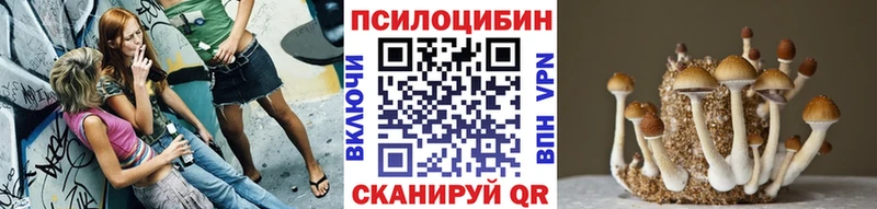 Галлюциногенные грибы мицелий  цены   Нестеров 