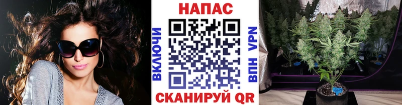Марихуана индика Нестеров